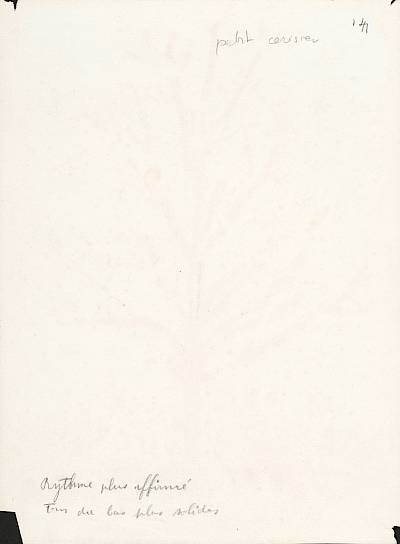 verso - Copyright Fondation Hainard