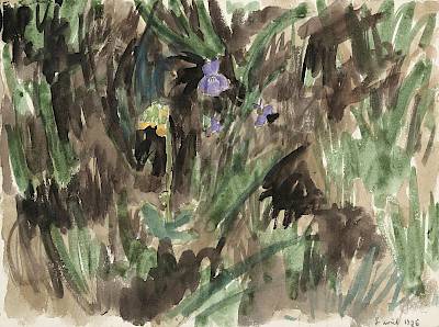 Robert Hainard - Primevère officinale et violette de chien - Copyright Fondation Hainard