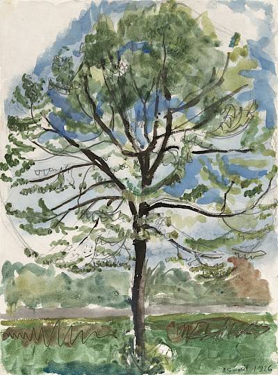Robert Hainard - Jeune arbre - Copyright Fondation Hainard