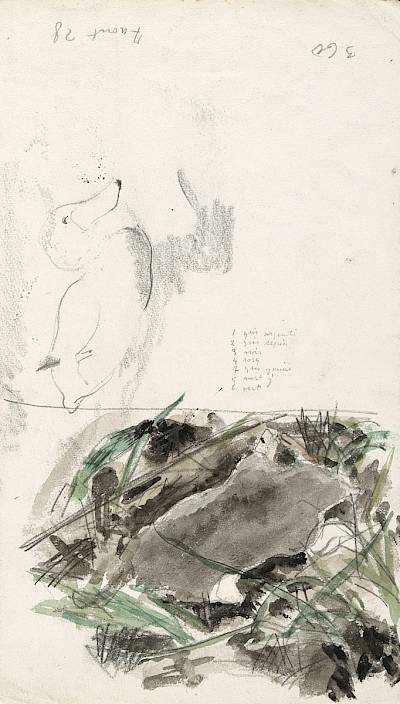 verso - Copyright Fondation Hainard