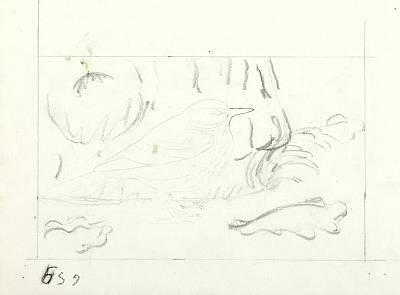 verso - Copyright Fondation Hainard
