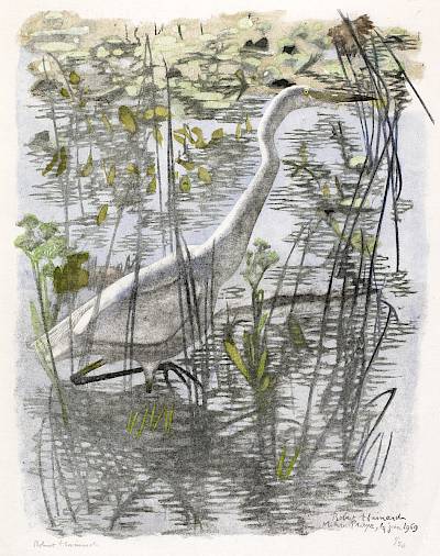 Robert Hainard - Grande aigrette - Copyright Fondation Hainard