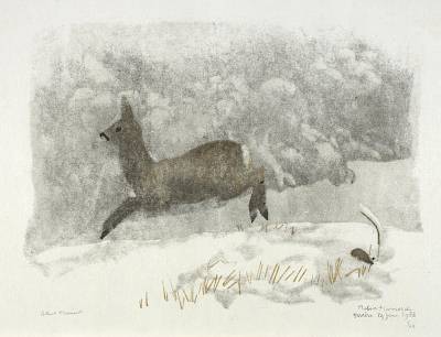 Robert Hainard - Chevrette, neige fraîche et brouillard - Copyright Fondation Hainard