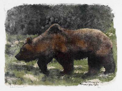 Robert Hainard - Le grand ours - Copyright Fondation Hainard