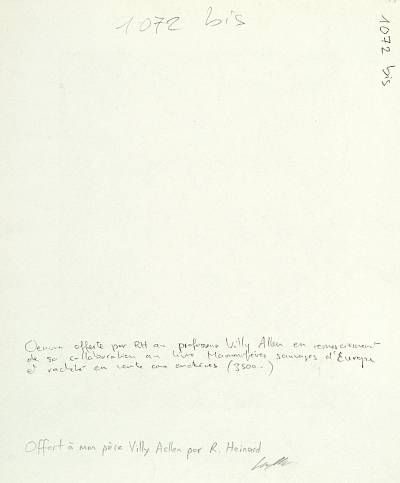 verso - Copyright Fondation Hainard
