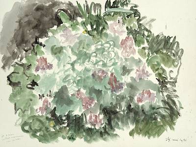 Robert Hainard - Etude de corydale - Copyright Fondation Hainard