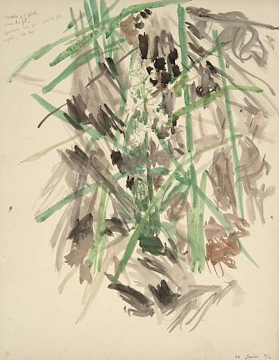 Robert Hainard - Etude d'orchis à deux feuilles - Copyright Fondation Hainard