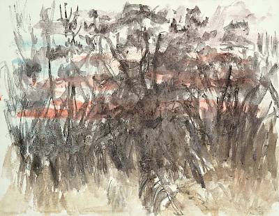 Robert Hainard - Ciel de couchant - Copyright Fondation Hainard
