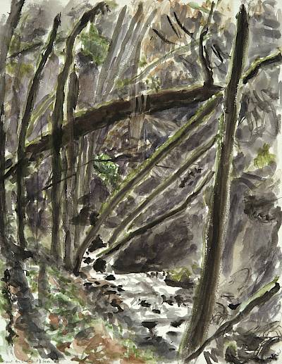Robert Hainard - Nant des Crues - Copyright Fondation Hainard