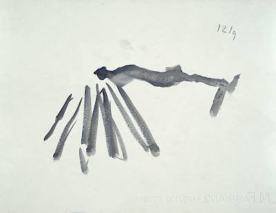 verso - Copyright Fondation Hainard