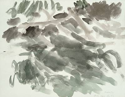 Robert Hainard - Étude pour les poules d'eau - Copyright Fondation Hainard