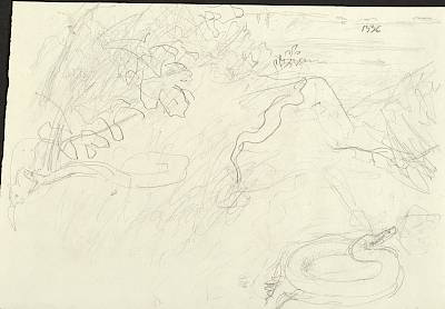 verso - Copyright Fondation Hainard