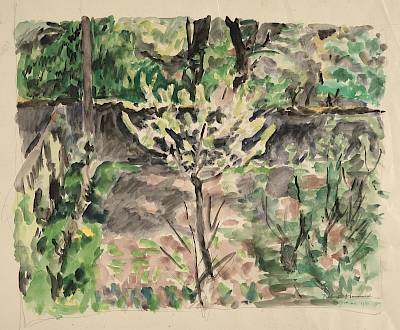 Robert Hainard - Notre jardin à Confignon - Copyright Fondation Hainard