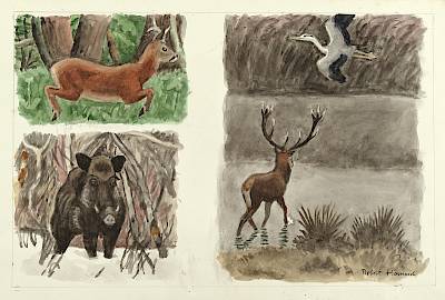 Robert Hainard - Brocard, solitaire, cerf et héron cendré - Copyright Fondation Hainard