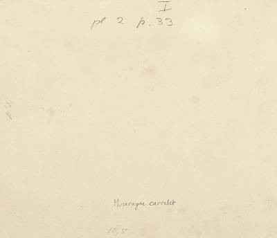 Copyright Fondation Hainard