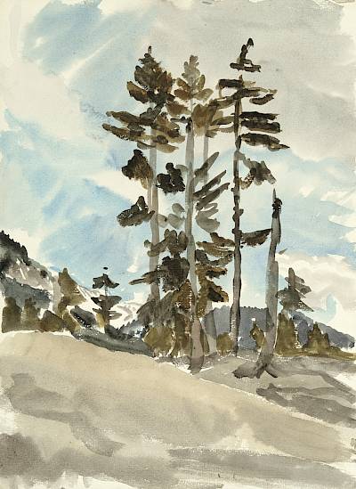 Germaine Hainard-Roten - Les sapins grêles - Copyright Fondation Hainard